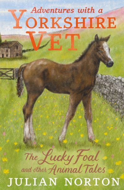 The Lucky Foal and Other Animal Tales by Julian Norton