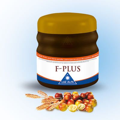 F-Plus