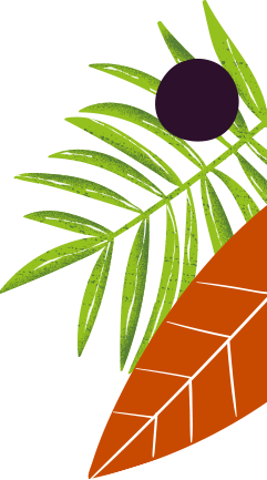 petruz-ativo_3.png