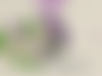 A história do açaí vai além do sabor – é um legado de força, amor e vitalidade. 🌿💜