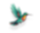 1 1.png