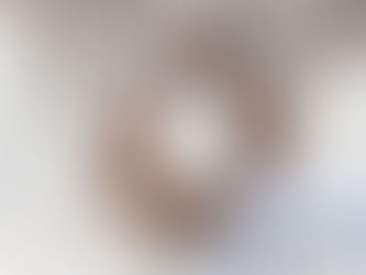 PROCOMPI - Apoio para Micro e Pequena Indústria