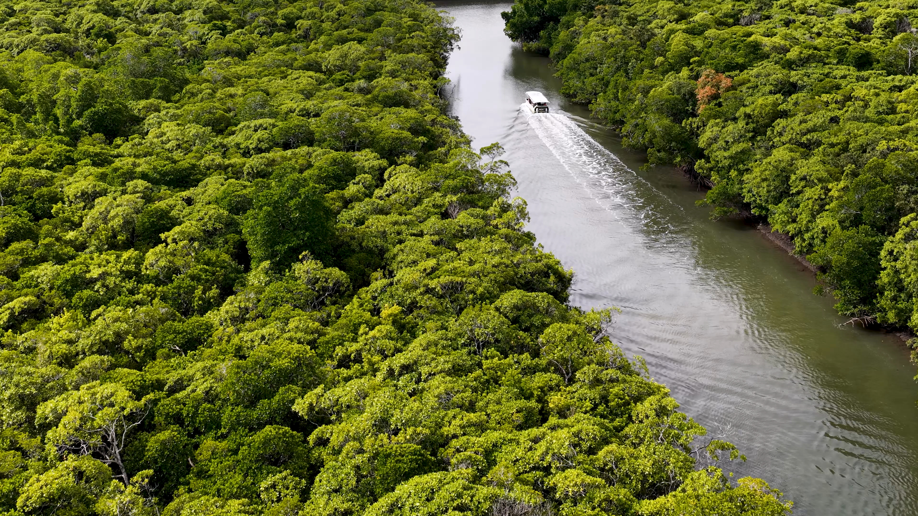 Da segurança da terra à segurança climática