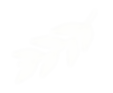 g150 (3).png