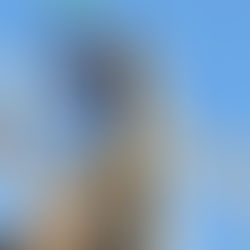 Construção: setor no Pará volta apresentar resultados expressivos no saldo de empregos