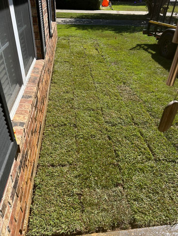 Home sod installation in Mobile Albama.
