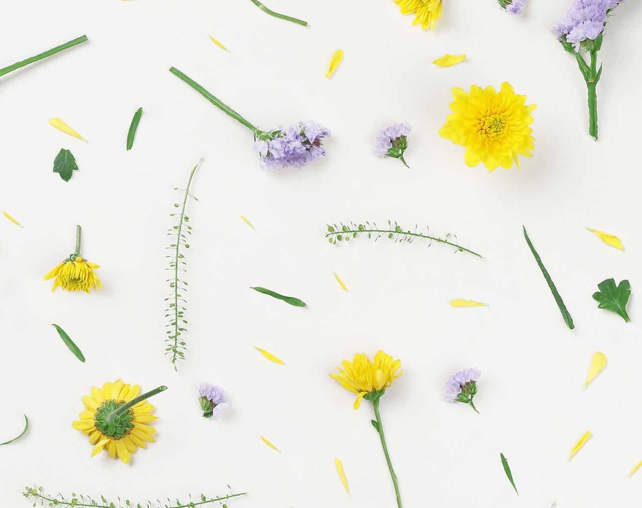 Yellow and Purple Flowers