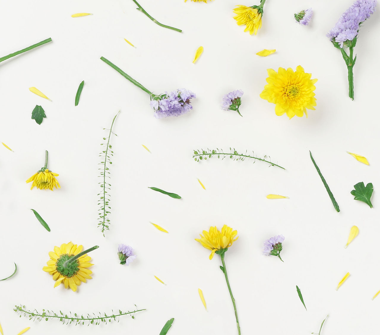 Yellow and Purple Flowers