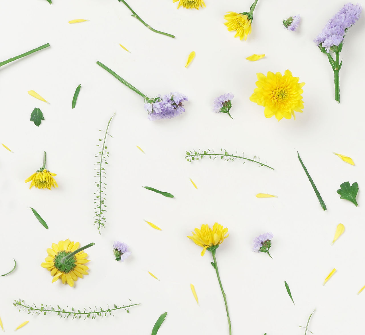 Yellow and Purple Flowers