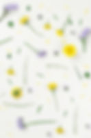 Gelbe und lila Blumen