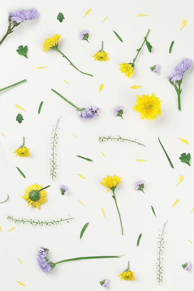 Yellow and Purple Flowers