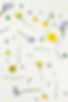 Fleurs jaunes et violettes