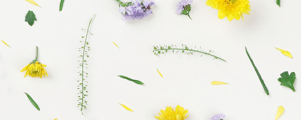 Gelbe und lila Blumen