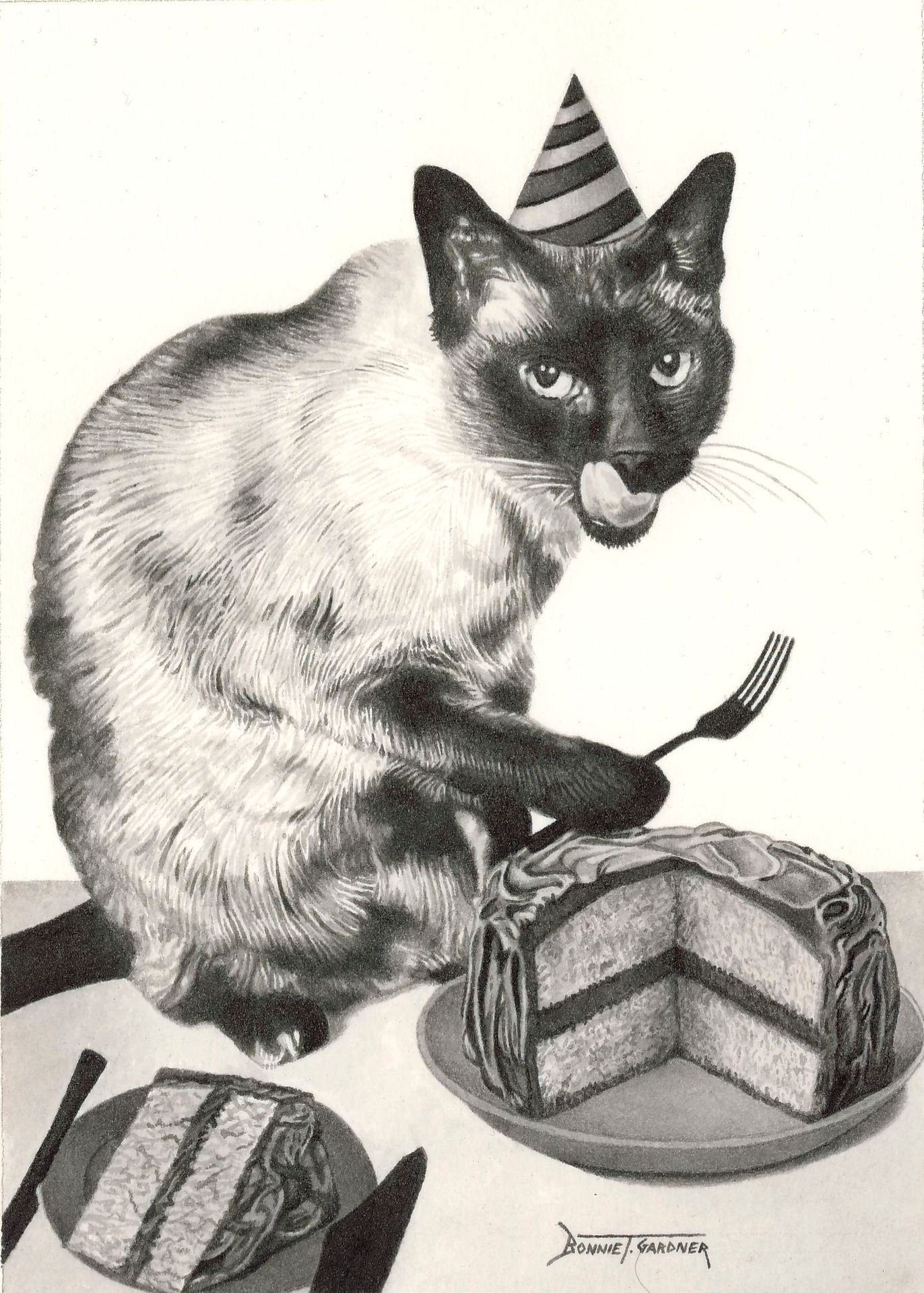 A Slice of Cake the Cat Did Bake