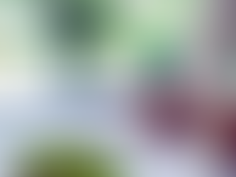 Sostenibilità e PMI: I43 firma il primo report per New Omap S.r.l.