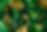LEAF BACKGROUND.jpg