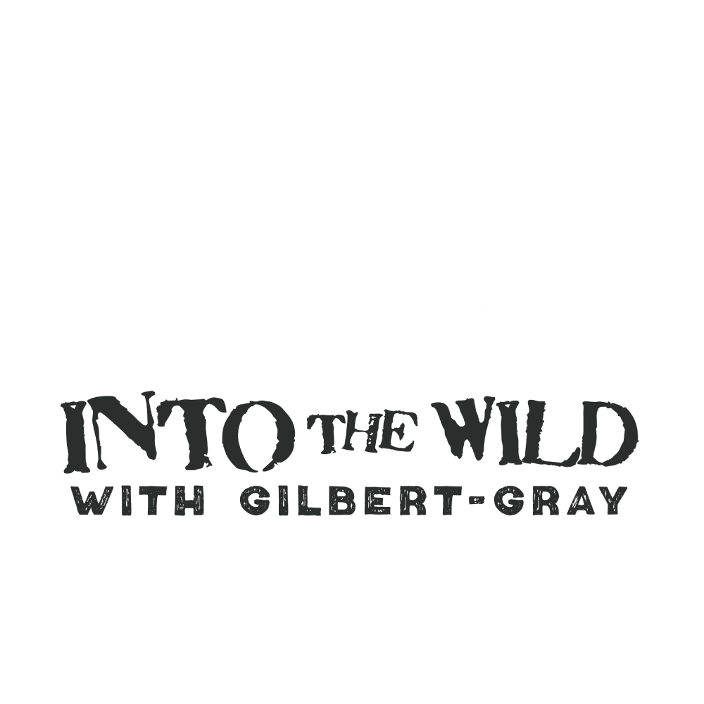 White version of ITW logo designed by ThorCreates