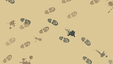 STONEHENGE-WALKS-BKG.png
