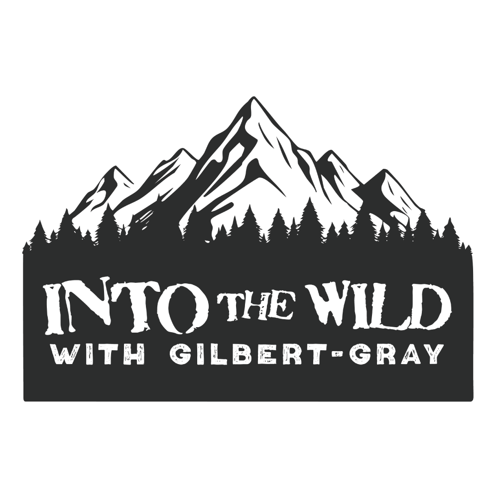 Full-color logo design for ITW brand by ThorCreates