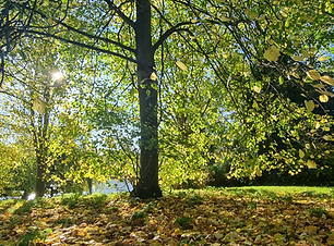 autumn.heic