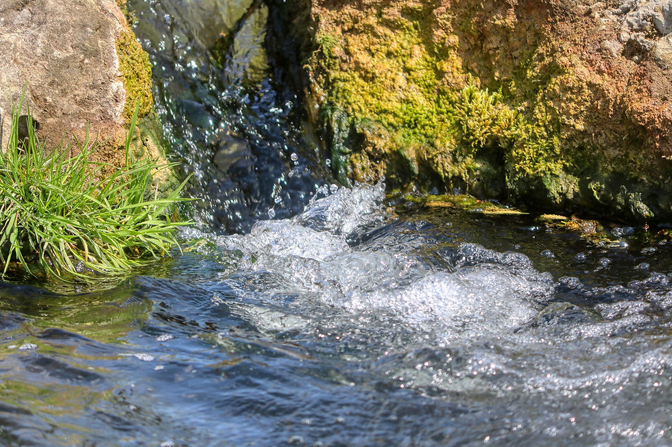 Beyond the cell count: Adding microbial fingerprints to water monitoring with BactoScore