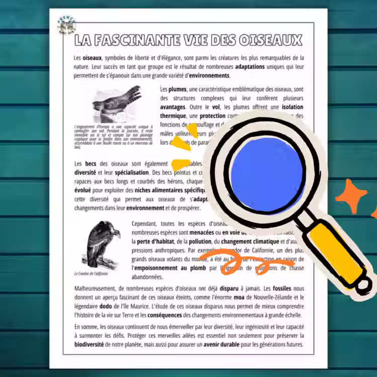 Miniature : BIODIVERSITÉ – TEXTES INFORMATIFS + COMPRÉHENSION | SCIENCES+LITTÉRATIE 4e à 7e