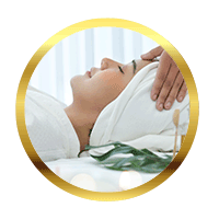 Vedic Wellness Centre at VedaLand India