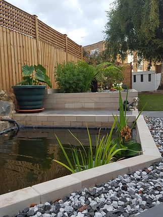 A serene garden with a small pond surrounded by lush plants
