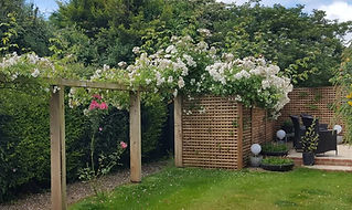 A garden pergola with blooming white and pink roses