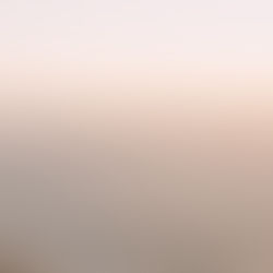 Your Path is Your Own