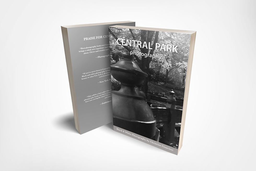 Central Park Book Cover