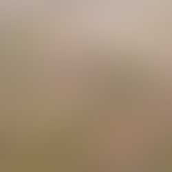 Jornadas de Patrimonio Histórico Arquitectónico Minero del Valle del Guadiato. E-book - Puesta en valor del Patrimonio Histórico Arquitectónico minero del Valle del Guadiato. Artículo publicado en libro sobre El Cerco Industrial de Peñarroya-Pueblonuevo.