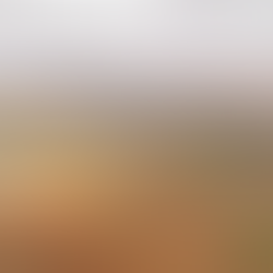 Jornadas de Patrimonio Histórico Arquitectónico Minero del Valle del Guadiato. E-book - Puesta en valor del Patrimonio Histórico Arquitectónico minero del Valle del Guadiato. Artículo publicado en libro sobre El Cerco Industrial de Peñarroya-Pueblonuevo.