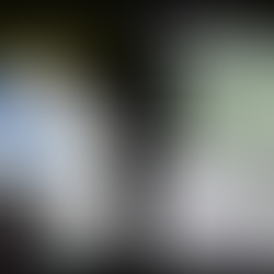 Jornadas de Patrimonio Histórico Arquitectónico Minero del Valle del Guadiato. E-book - Puesta en valor del Patrimonio Histórico Arquitectónico minero del Valle del Guadiato. Artículo publicado en libro sobre El Cerco Industrial de Peñarroya-Pueblonuevo.