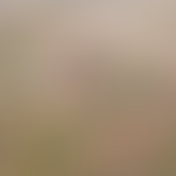 Jornadas de Patrimonio Histórico Arquitectónico Minero del Valle del Guadiato. E-book - Puesta en valor del Patrimonio Histórico Arquitectónico minero del Valle del Guadiato. Artículo publicado en libro sobre El Cerco Industrial de Peñarroya-Pueblonuevo.