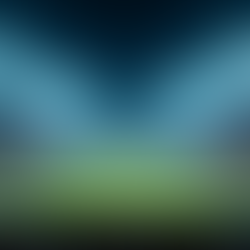 Top 5 Must-Visit NFL Stadiums for Every Football Fan