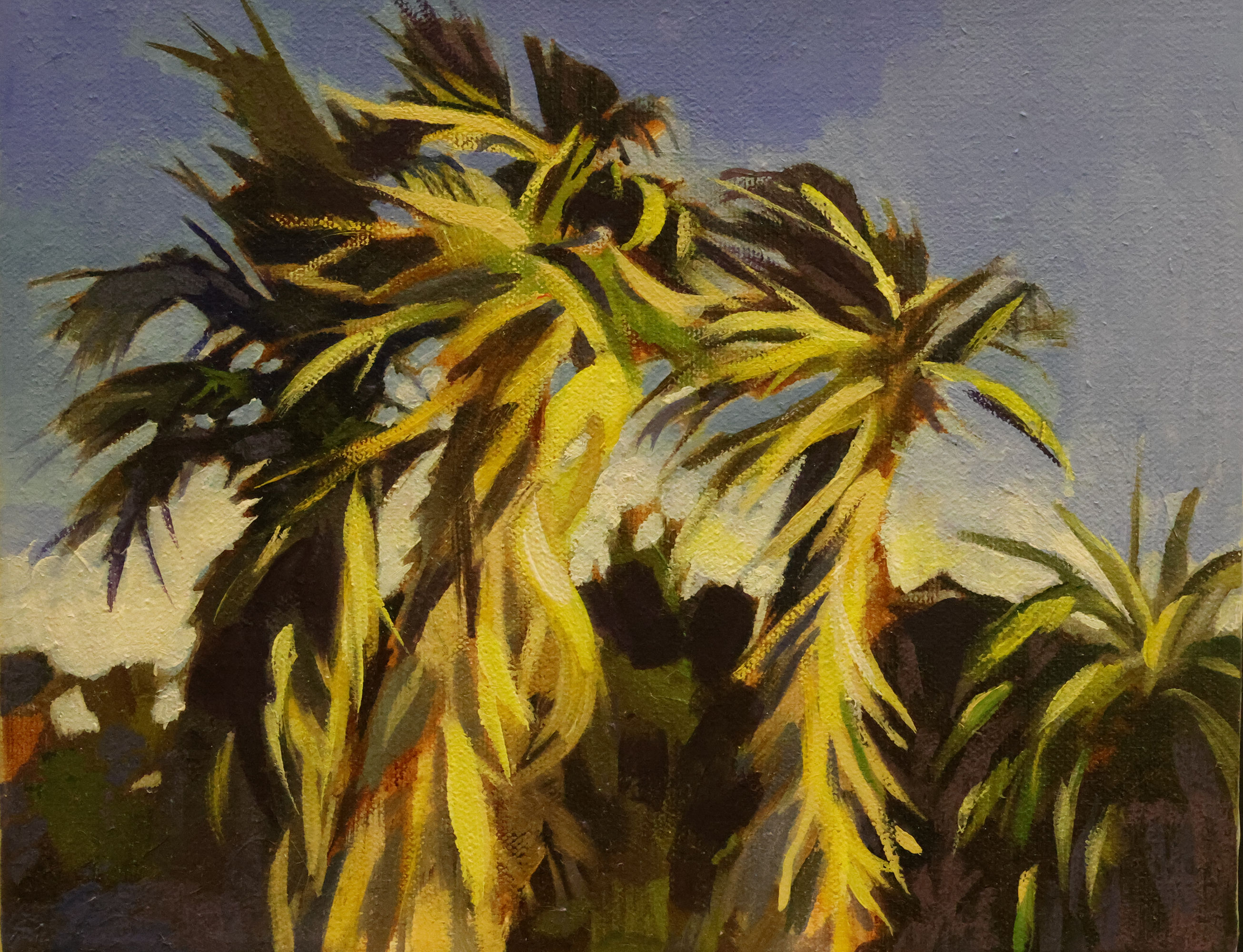 Wild Palms )8" x 10")