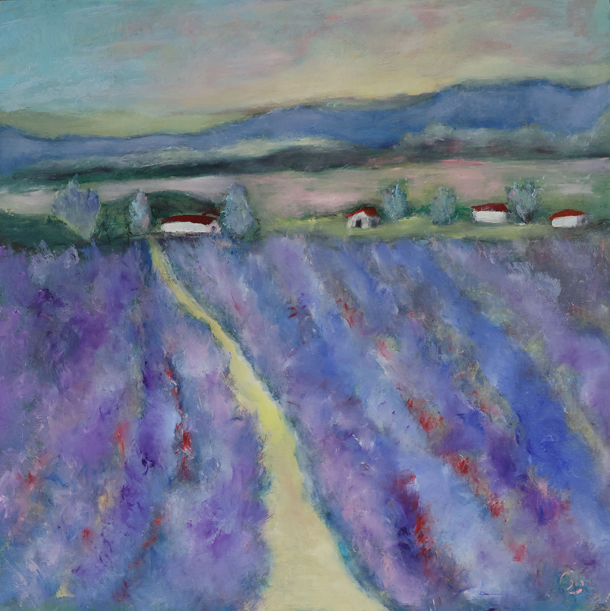Lavender Fields (20" x 20")