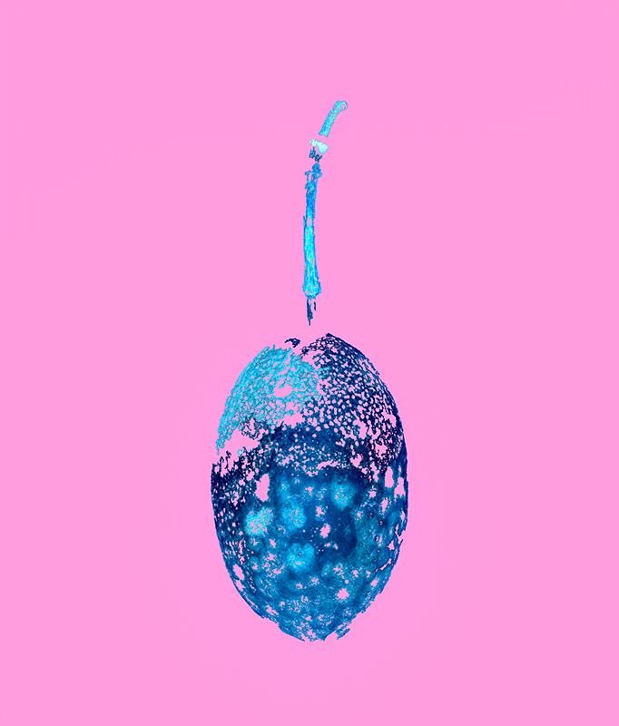 2 Seed Pod