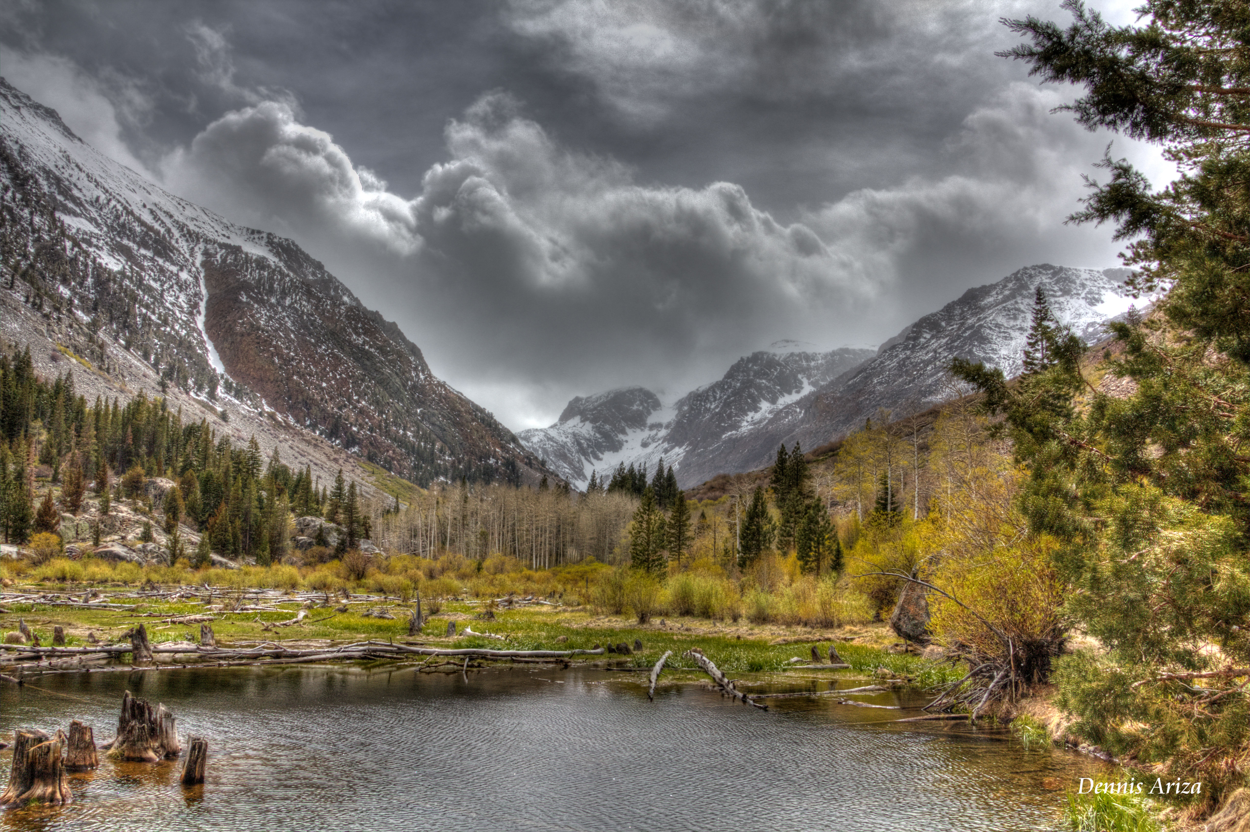 Storms-A-Brew'n (16" x 24")