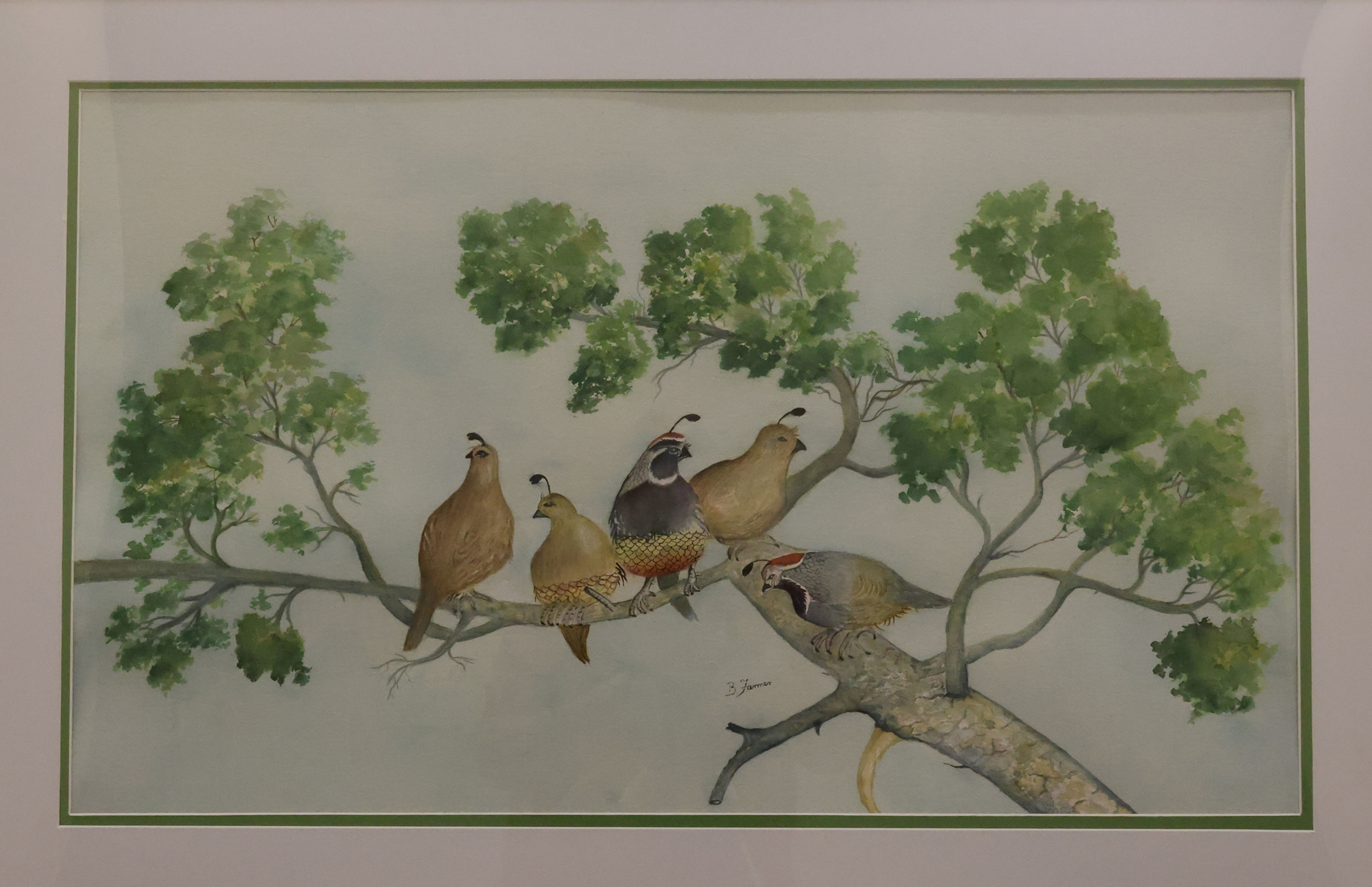 Autumn Quail