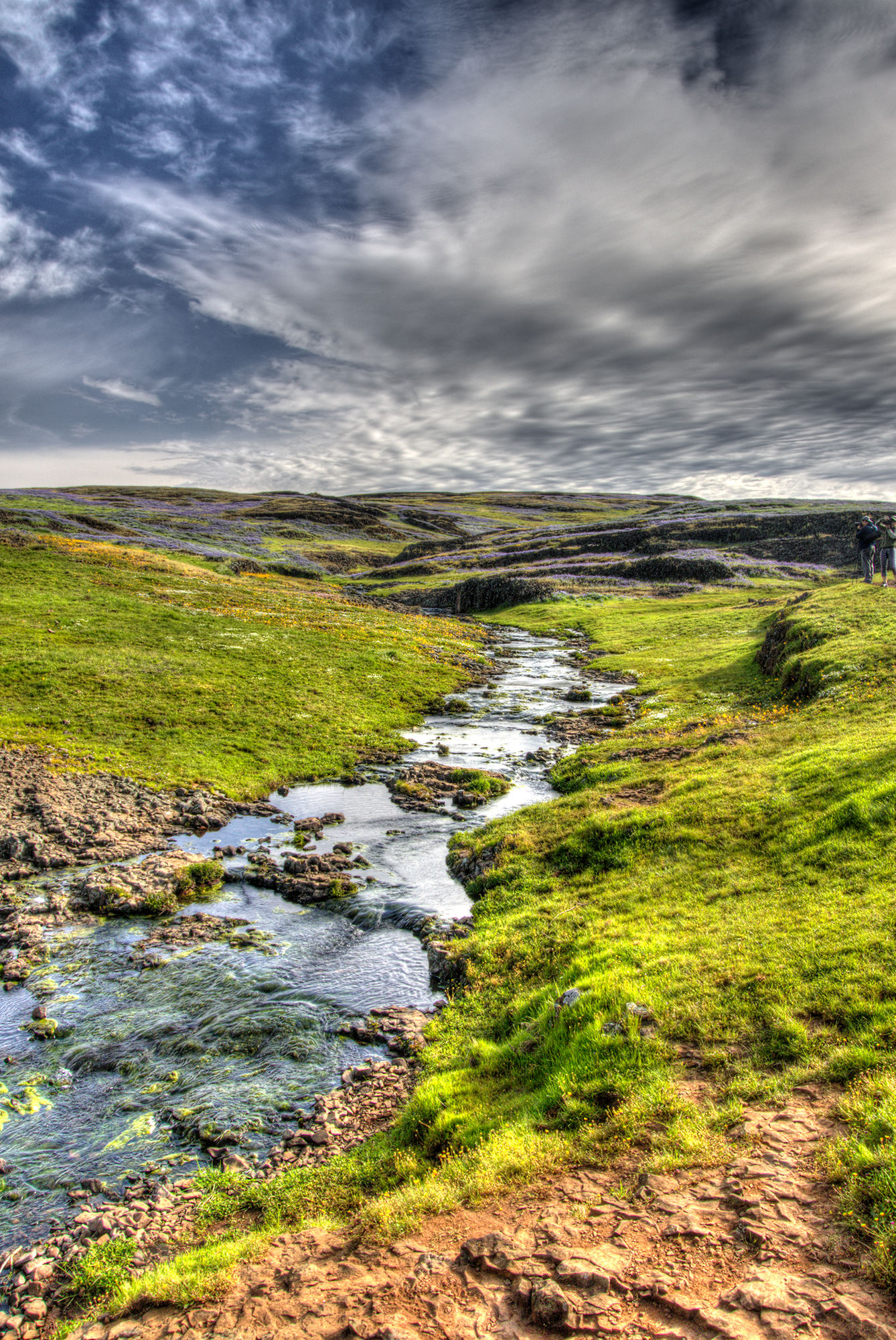 North Table Mountain Stream