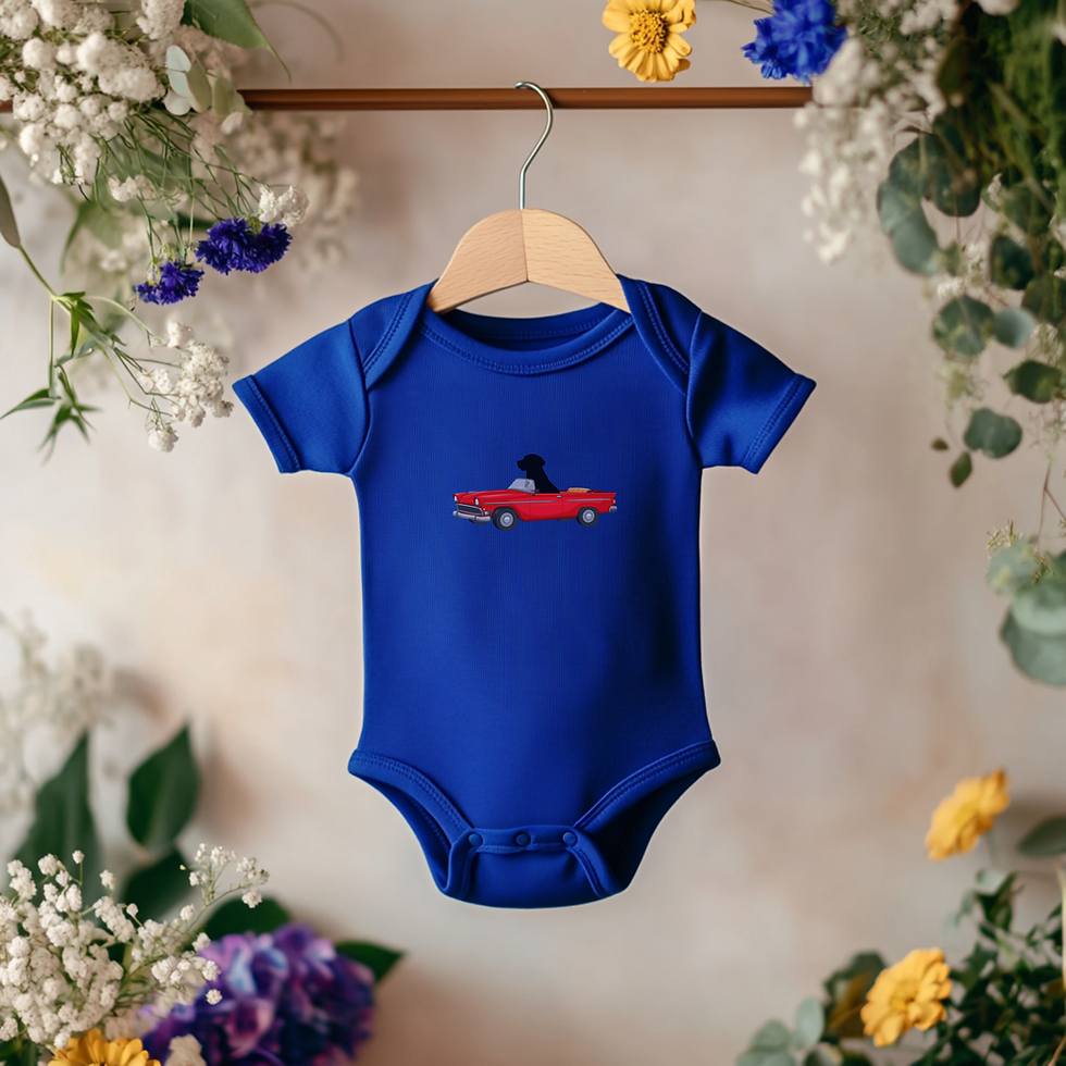 Thumbnail: Birmingham Collective Short Sleeve infant Bodysuit 