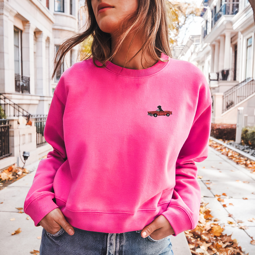 Thumbnail: Birmingham Collective Embroidered Crewneck