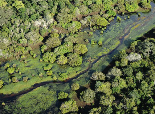 A governança de uma organização para observar a gestão de aguas do Brasil