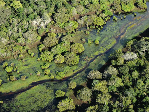 A governança de uma organização para observar a gestão de aguas do Brasil