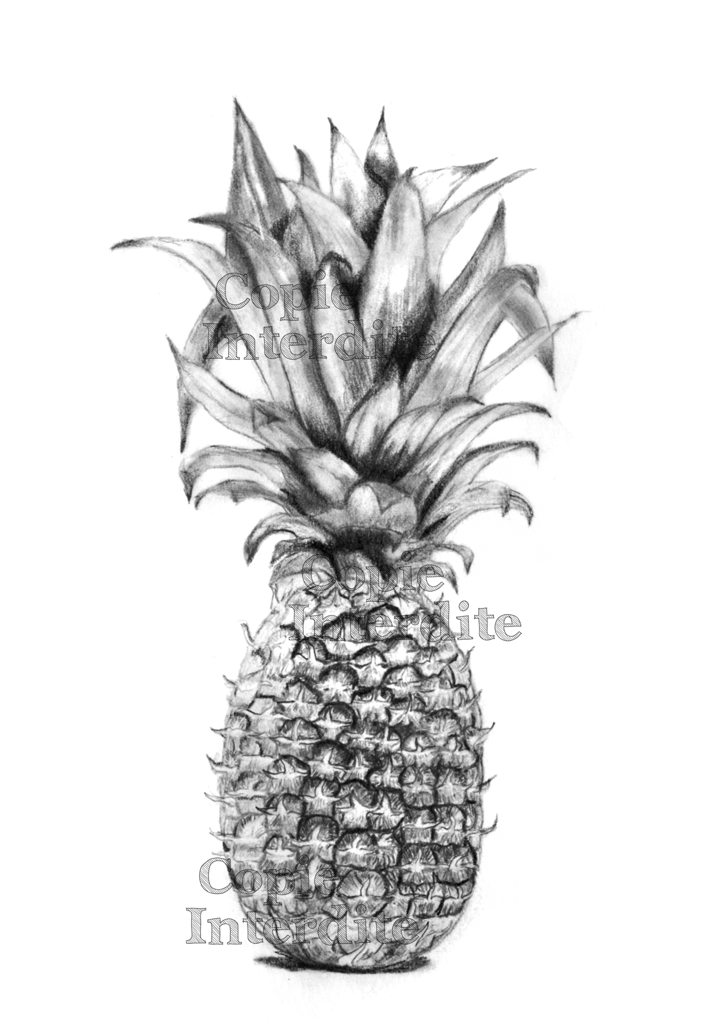 ananas (étude de texture)