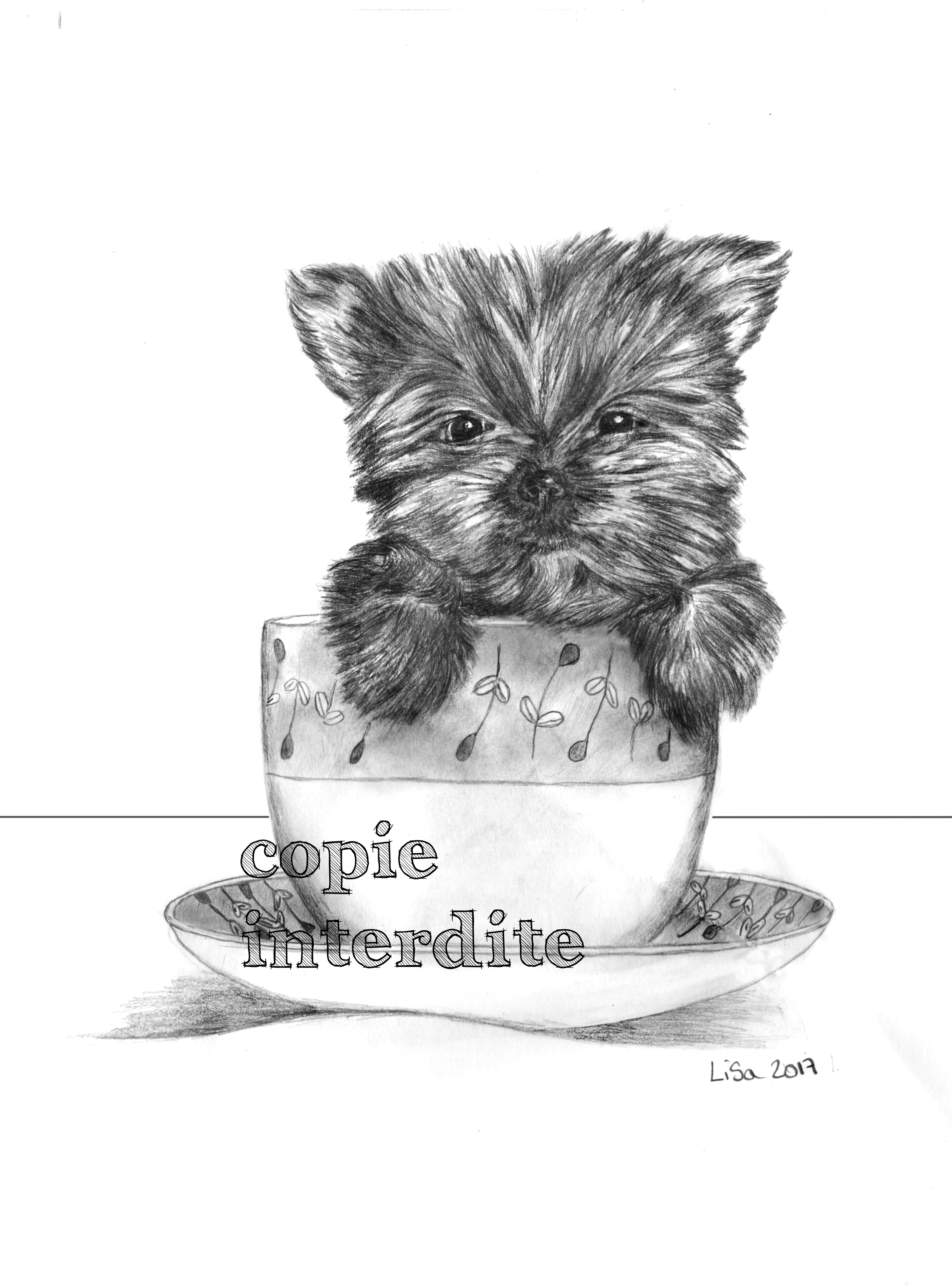 Petit bébé chien