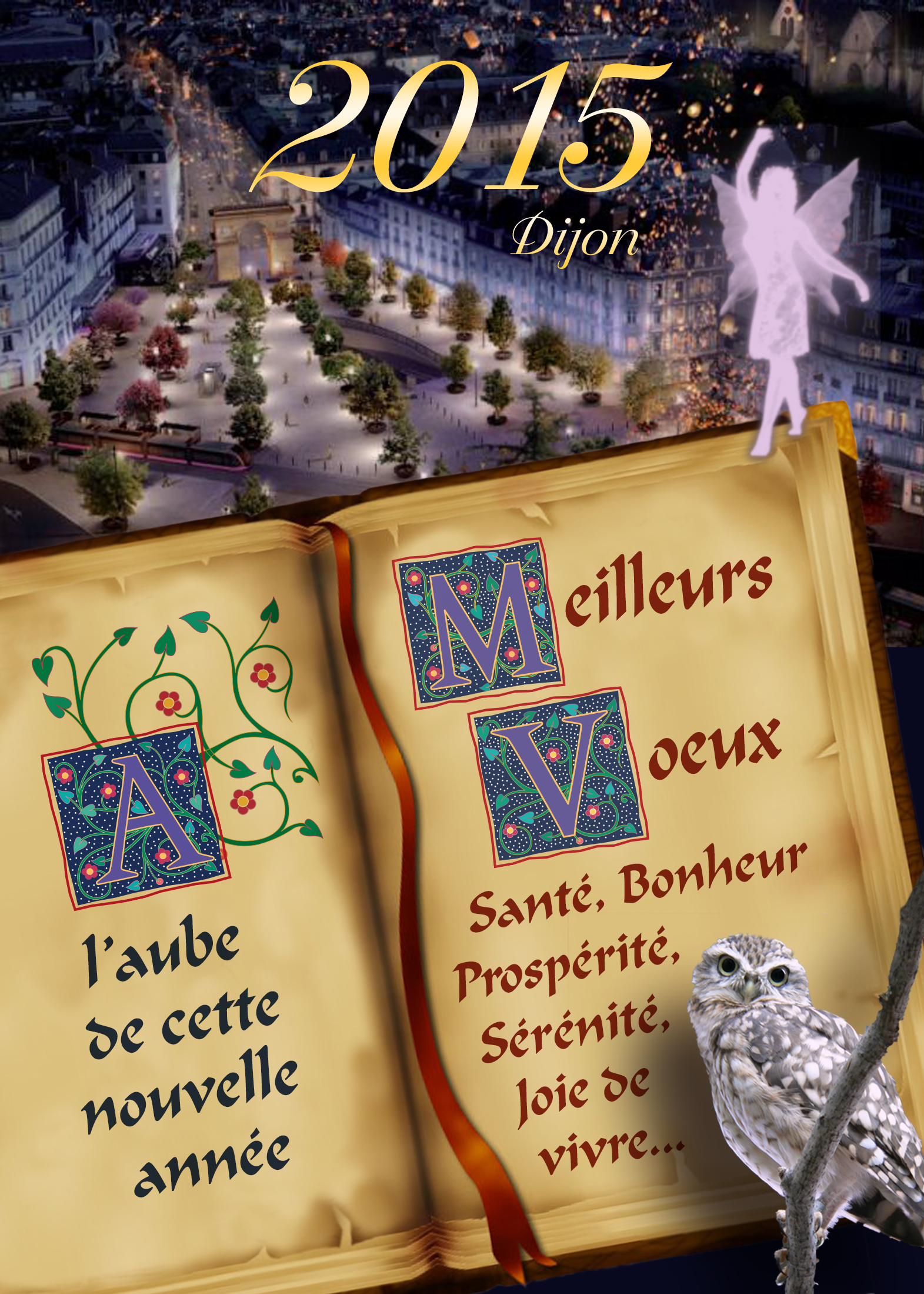 meilleurs voeux 2015