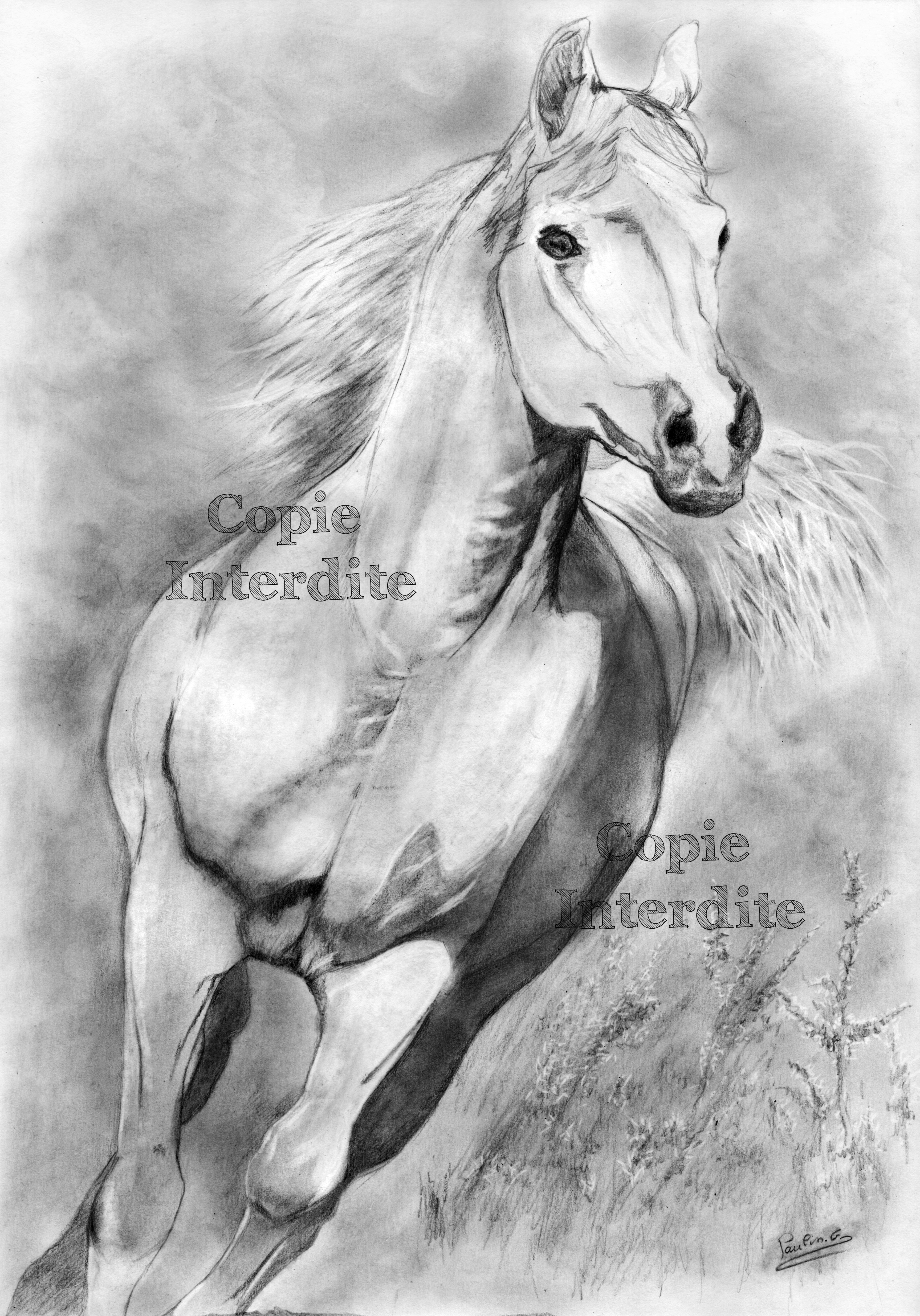 La course du cheval